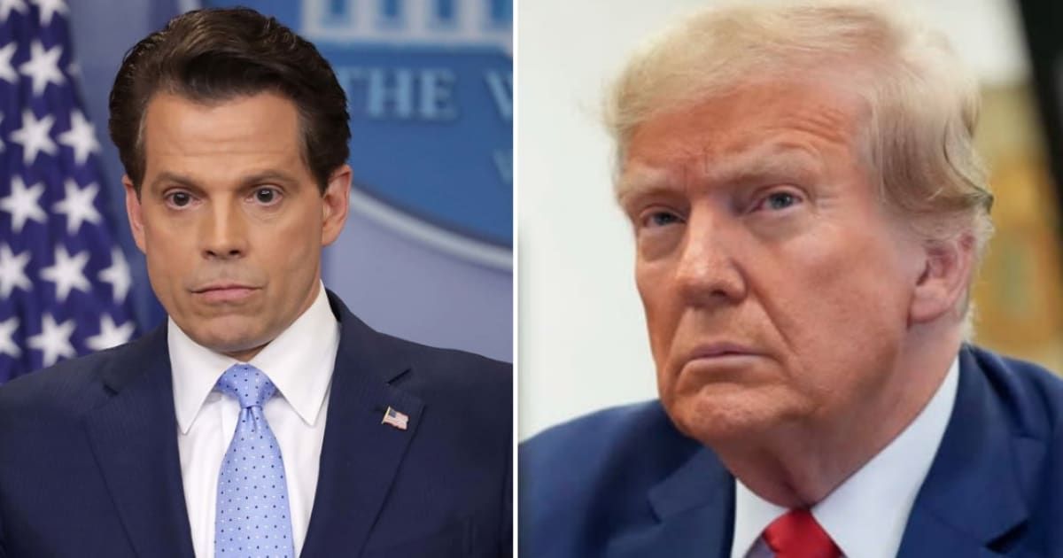 Anthony Scaramucci offered his assessment of a few CEOs who had a private meeting with Donald Trump (Getty Images)