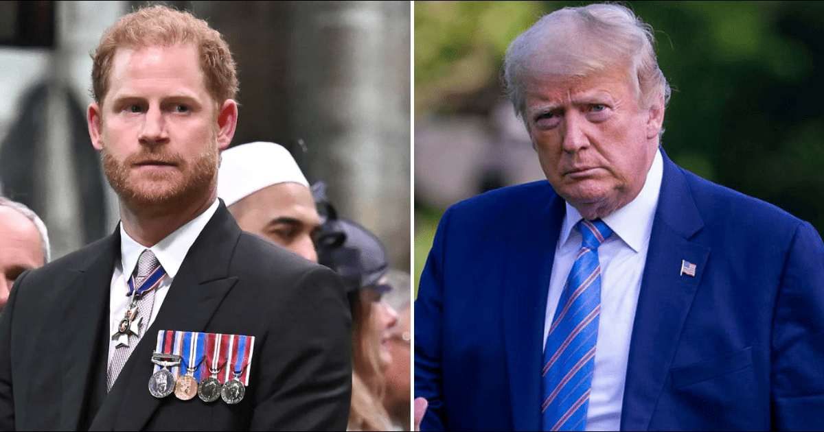 US government lawyers cited a case involving Donald Trump as grounds for withholding details of Prince Harry’s immigration status (Getty Images)