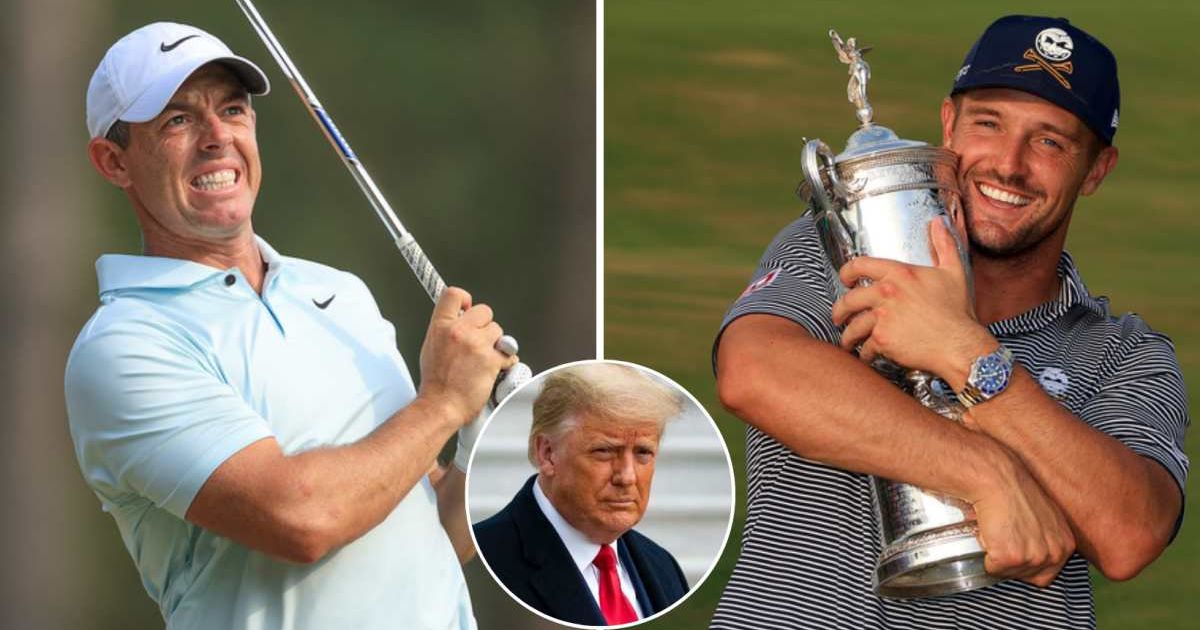 Donald Trump took a swipe at Rory McIlroy after Bryson DeChambeau's victory at the US Open (Getty Images)