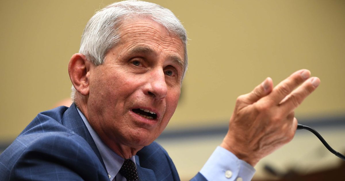 Dr Anthony Fauci, former director of the NIAID, acknowledged that the prolonged closure of schools during the pandemic was a 'mistake' (Getty Images)