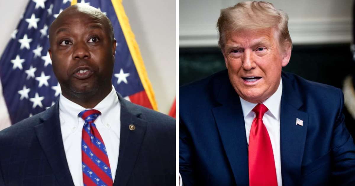 Sen Tim Scott, who is the sole Black Republican in the Senate, initiated a $14 million campaign earlier this month to assist Donald Trump (Getty Images)