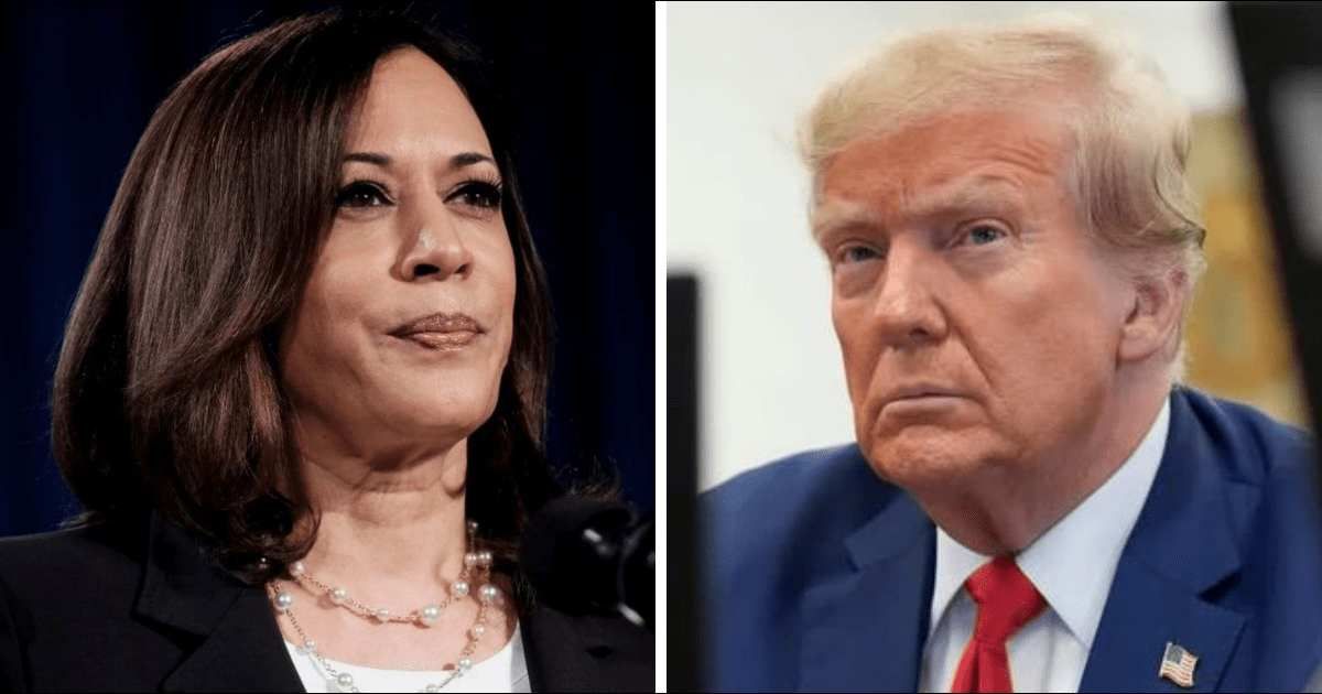 Kamala Harris is set to blame Donald Trump for Roe v Wade decision (Getty Images)