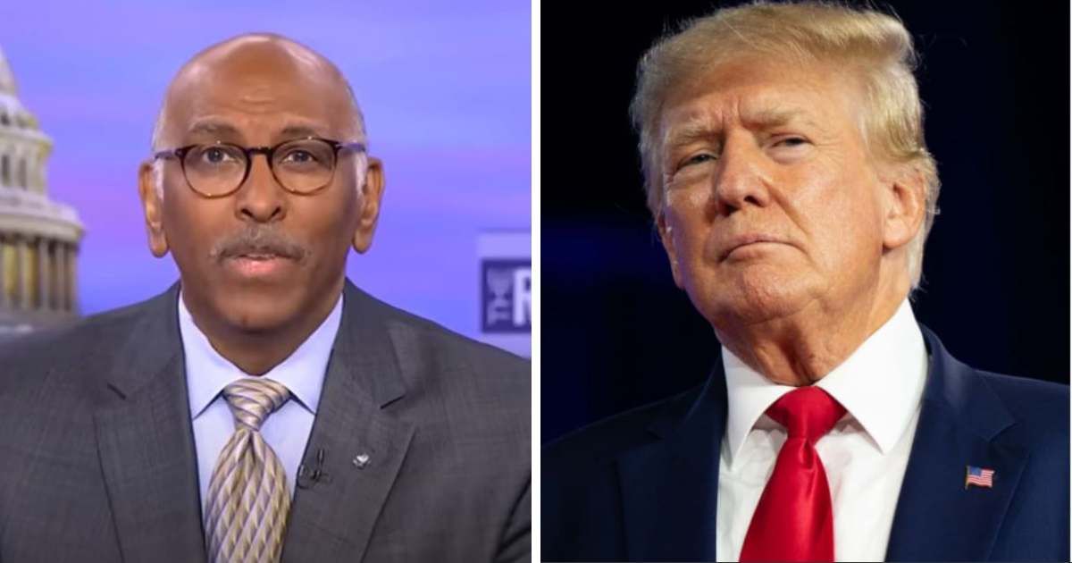 Former RNC Chair Michael Steele criticized Donald Trump's recent rally on MSNBC's 'ReidOut' (MSNBC/YouTUbe, Getty Images)