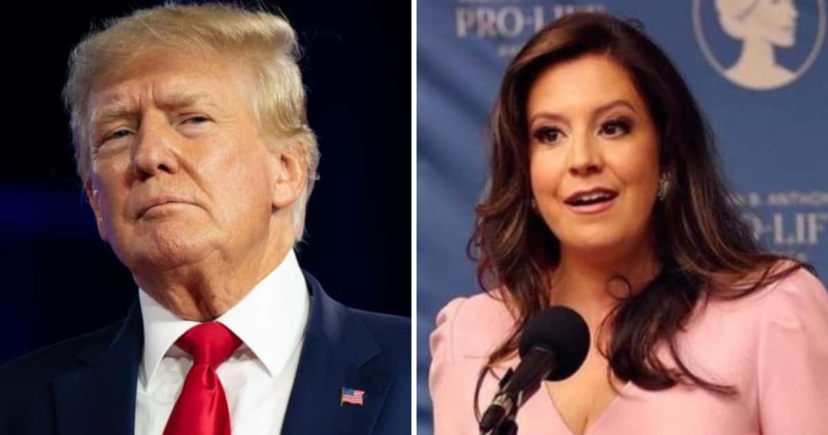Former President Trump gave Elise Stefanik a ringing endorsement (Getty Images/Instagram)