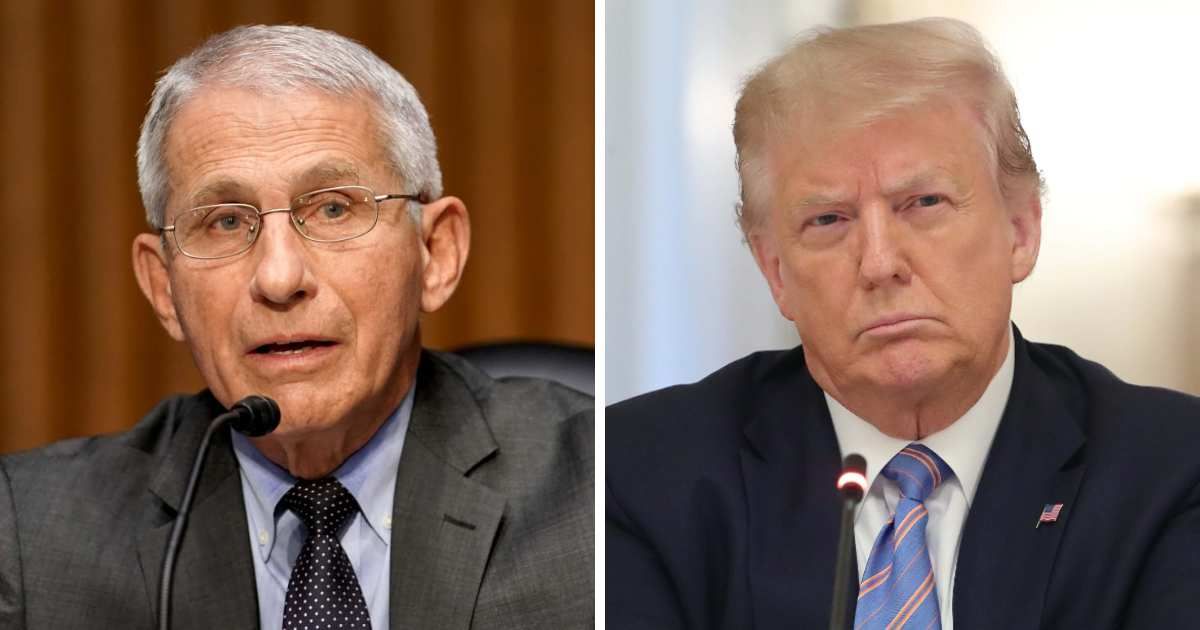 Anthony Fauci wrote about his experiences working with Donald Trump's administration in a memoir (Getty Images)