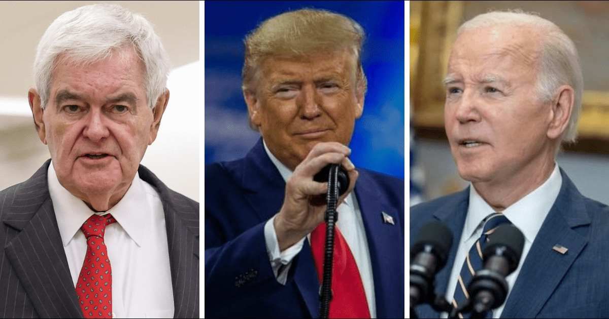 Newt Gingrich has urged Donald Trump to use humor against Joe Biden (Getty Images)