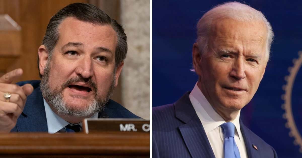 Ted Cruz suggested President Joe Biden's leniency towards pro-Palestinian protestors is part of a broader strategy to secure electoral support (Getty Images)