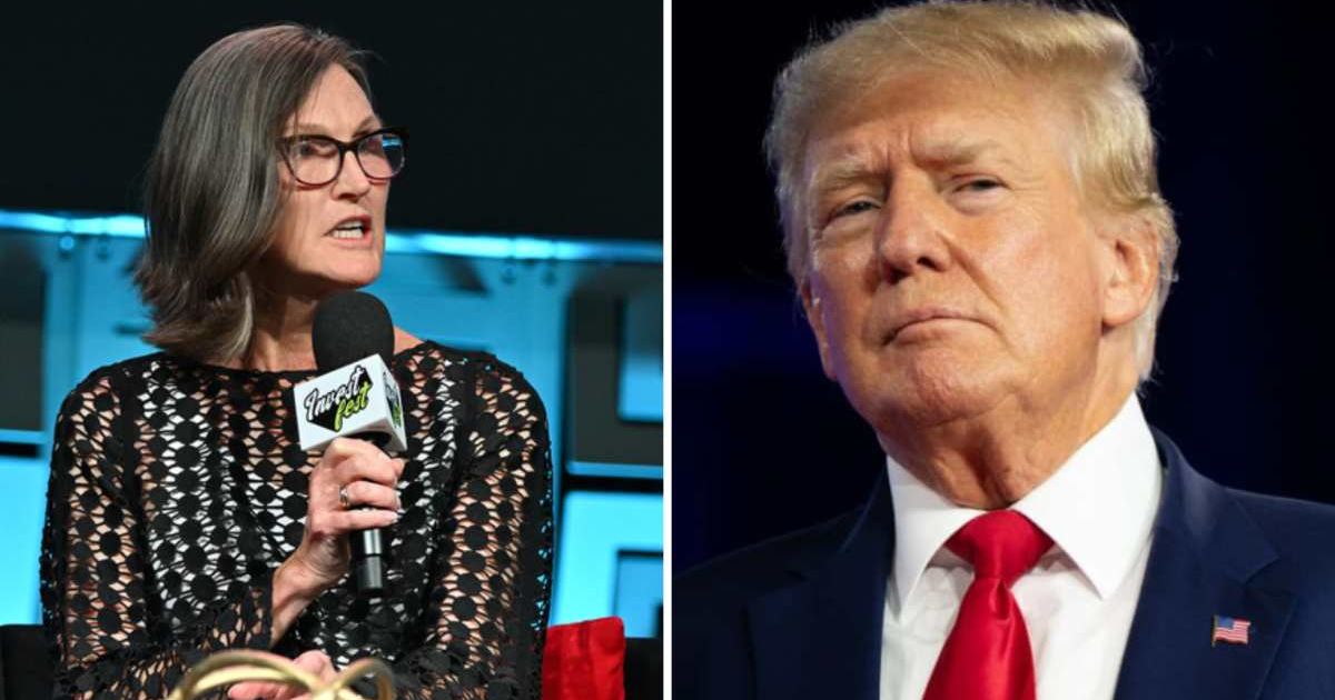 CEO of ARK Invest Cathie Wood expressed her support for Donald Trump in the upcoming presidential election (Getty Images)