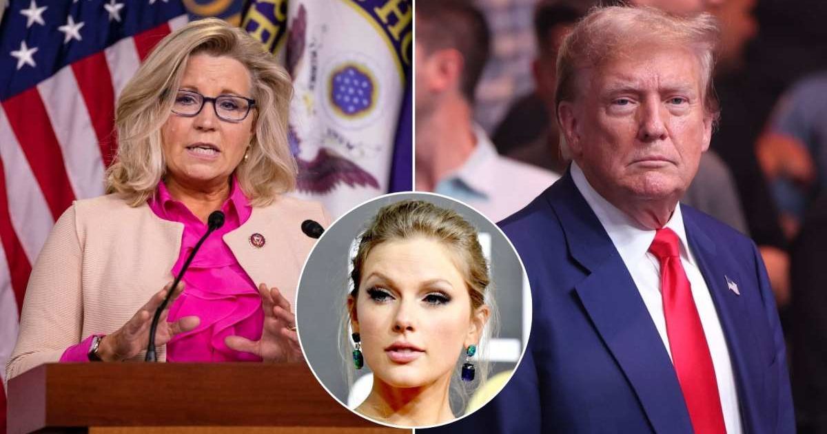 Former Rep Liz Cheney mocked former President Donald Trump for the size of the crowd at Taylor Swift's recent concert tour stop (Getty Images)