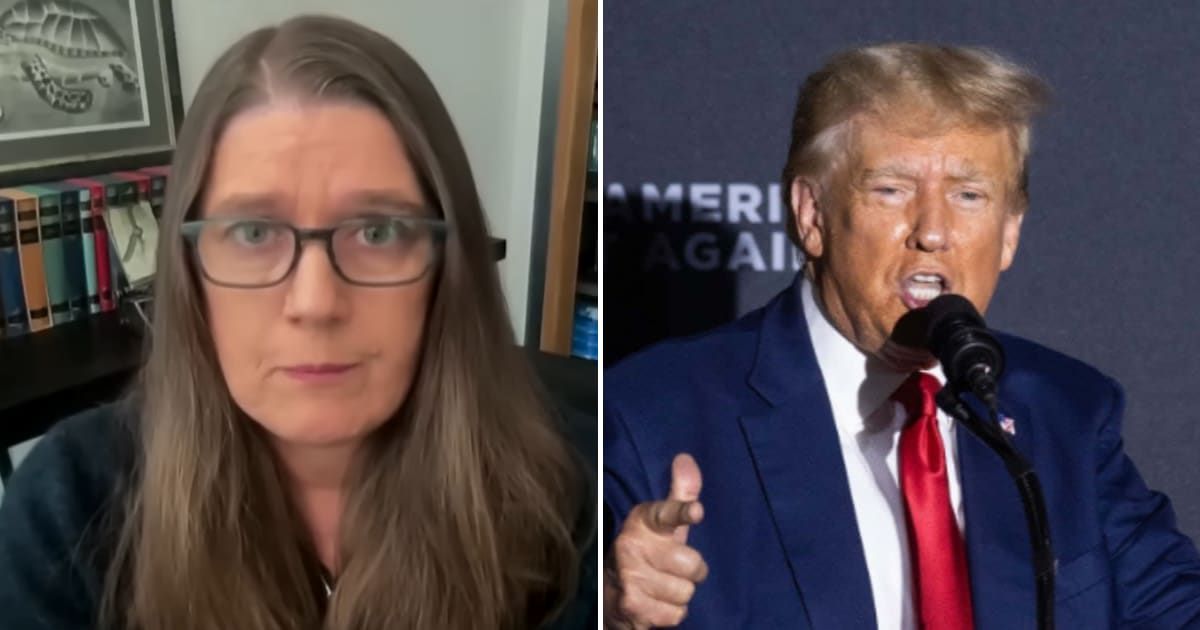Mary Trump has criticized Trump for using 'hate speech' to boost campaign donations (MSNBC/YouTube, Getty Images)