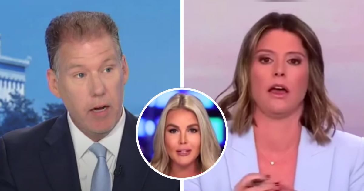 Doug Heye came to CNN host Kasie Hunt's defense for ending an interview with Karoline Leavitt, while appearing on Fox News' 'Special Report' (Fox News, Sky News Australia/screengrab)