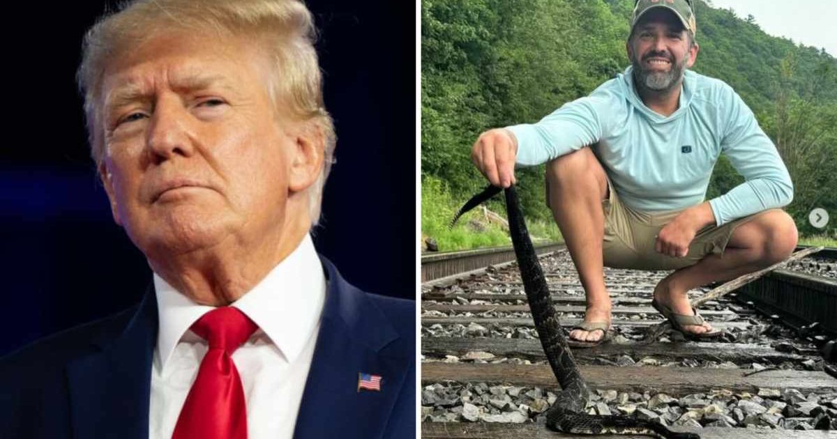 Former President Donald Trump reshared a photo featuring his son, Donald Trump Jr, proudly holding what appears to be a dead rattlesnake (Getty Images/X)