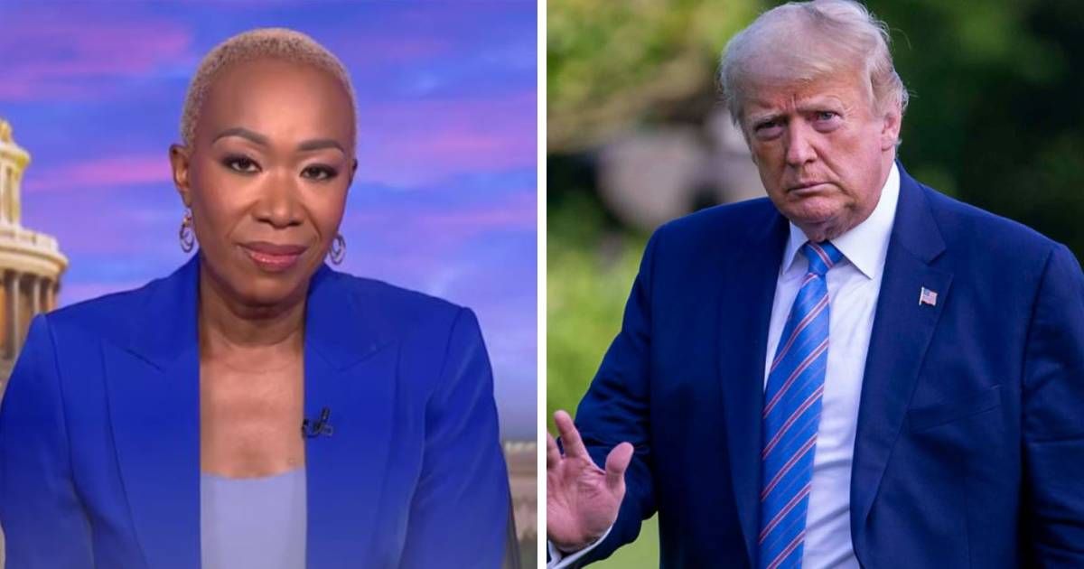 Joy Reid likened voting for Donald Trump in the 2024 election to eating shit (MSNBC/Getty Images)