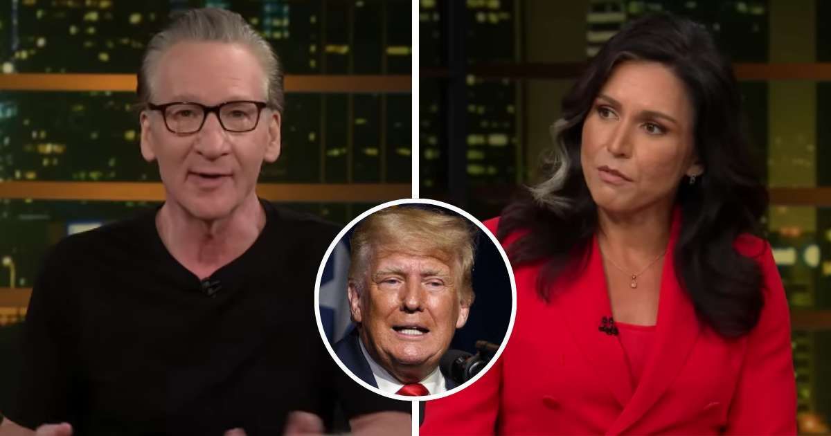 Bill Maher confronted Tulsi Gabbard over her growing affinity for Donald Trump (Real Time/ YouTube, Getty Images)