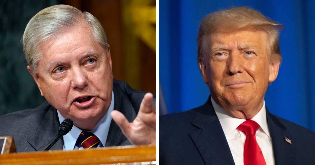 Lindsey Graham praised Donald Trump's presidential debate performance saying 'he had a good night' (Getty Images)