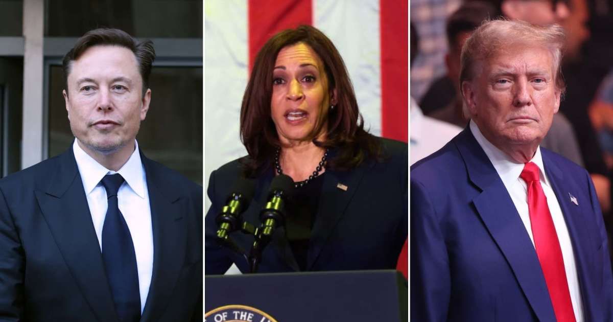 Elon Musk accused Kamala Harris of lying about former President Donald Trump's support for a national abortion ban (Getty Images)