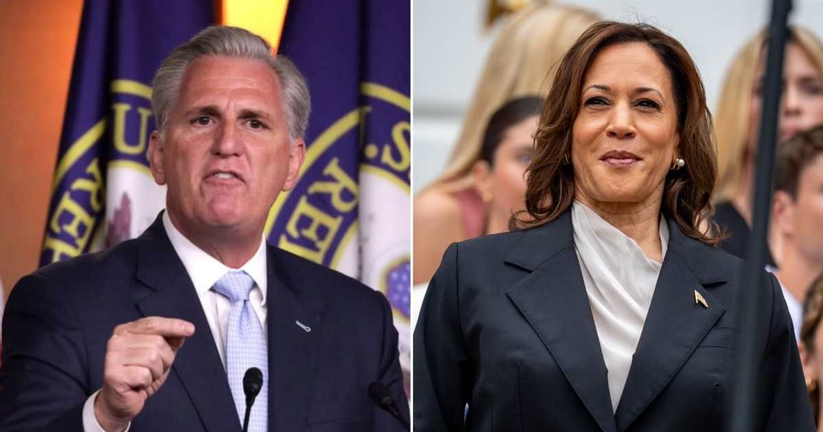 Kevin McCarthy warned Republicans from making 'stupid and dumb' personal attacks on Kamala Harris (Getty Images)