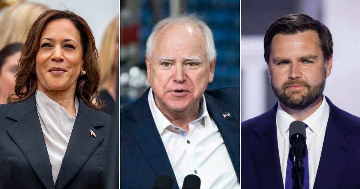 Kamala Harris used Tim Walz's cat's photos to take a subtle jab at GOP's vice presidential pick JD Vance (Getty Images)