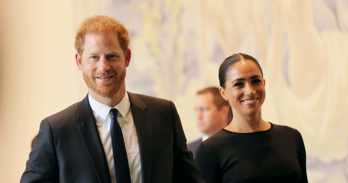 Prince Harry has raised concerns on how NYPD handled its probe into the paparazzi car chase involving Meghan Markle in May 2023 (Michael M Santiago/Getty Images)
