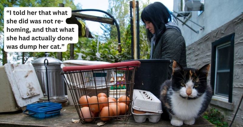 ‘AITA for correcting a friend who said she re-homed her cat but actually dumped it outside?’