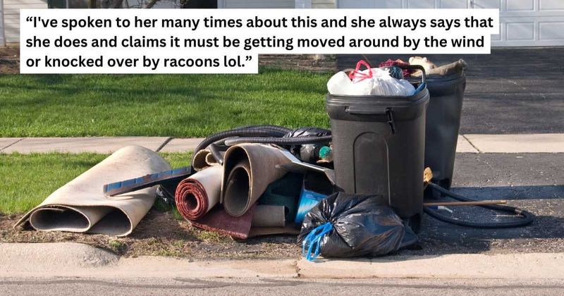 'AITA for kicking our neighbor's garbage bins on their driveway because they are annoying?'