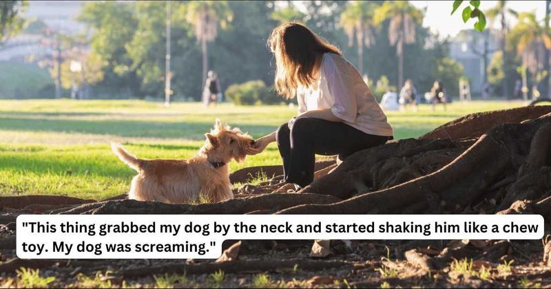 'AITA for making my neighbor pay my vet bills after their ‘angel’ of a dog almost killed mine?'