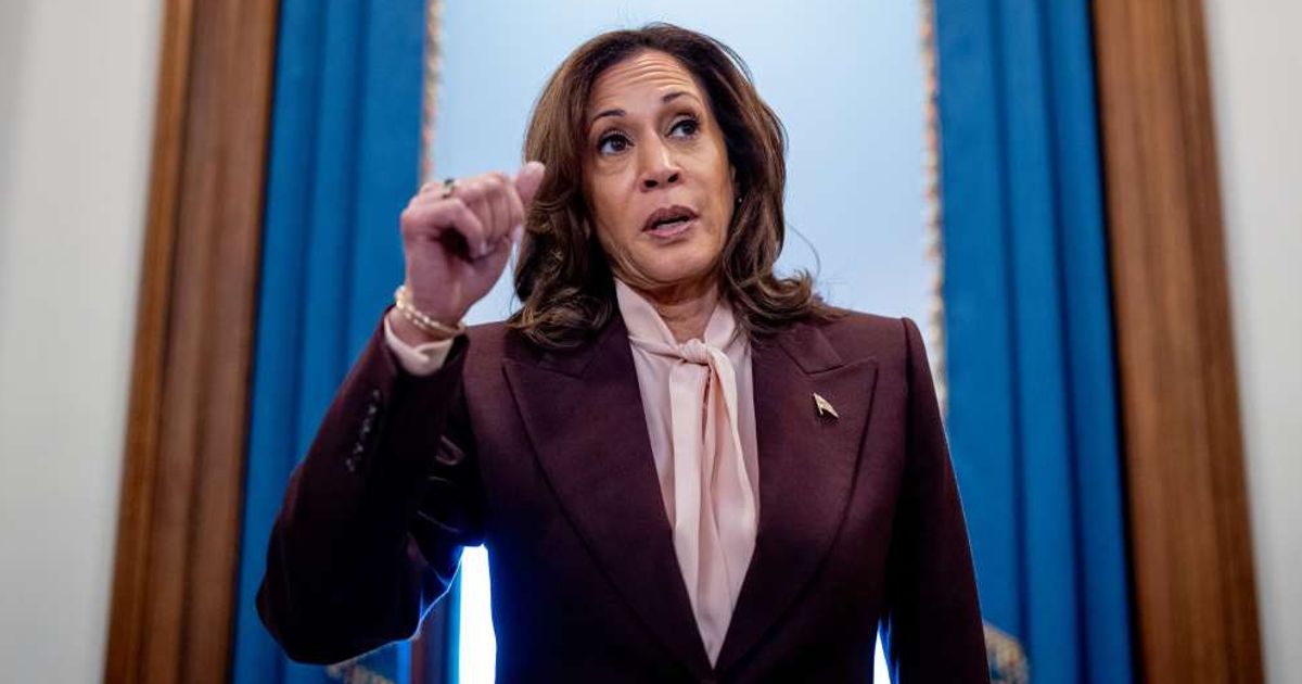 Kamala Harris 'done' being at top of Democratic ticket after 2024 election loss, claims supporter