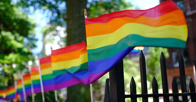 Minnesota softball player and parent express outrage as trans pitcher dominates playoffs