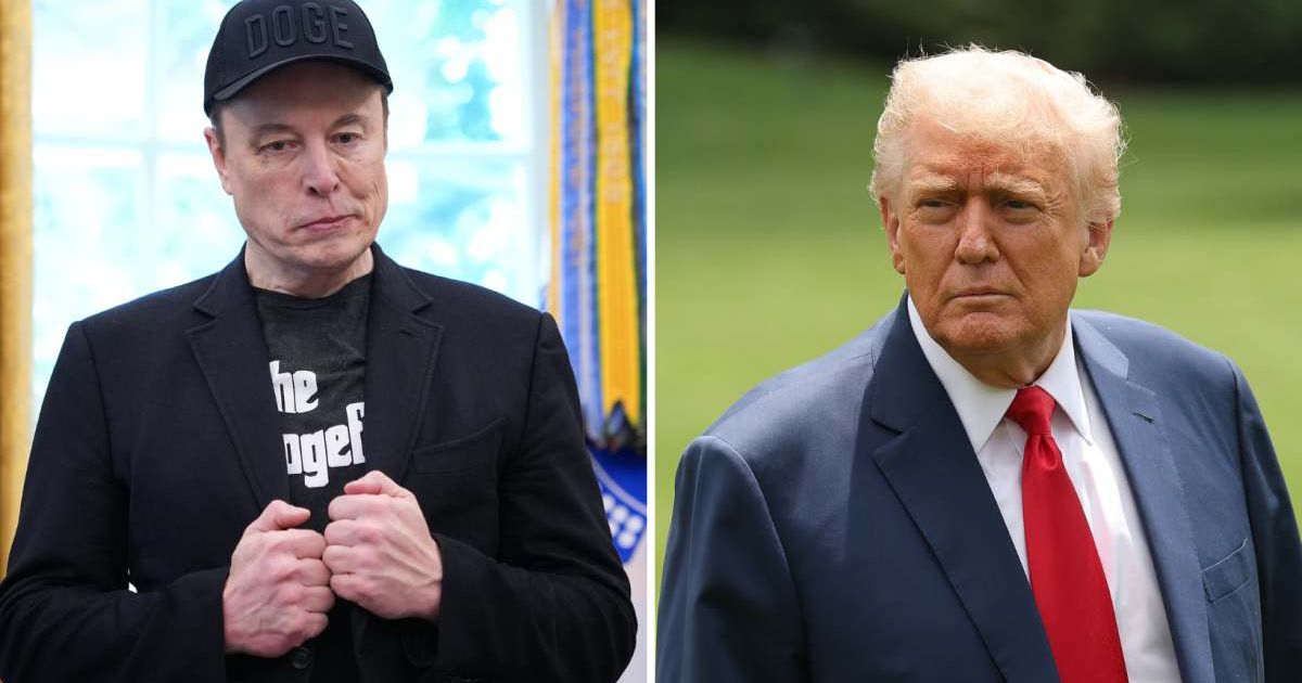 Elon Musk surprisingly sides with Trump as he blasts 'bogus' WSJ report on 'birthday letter' to Epstein