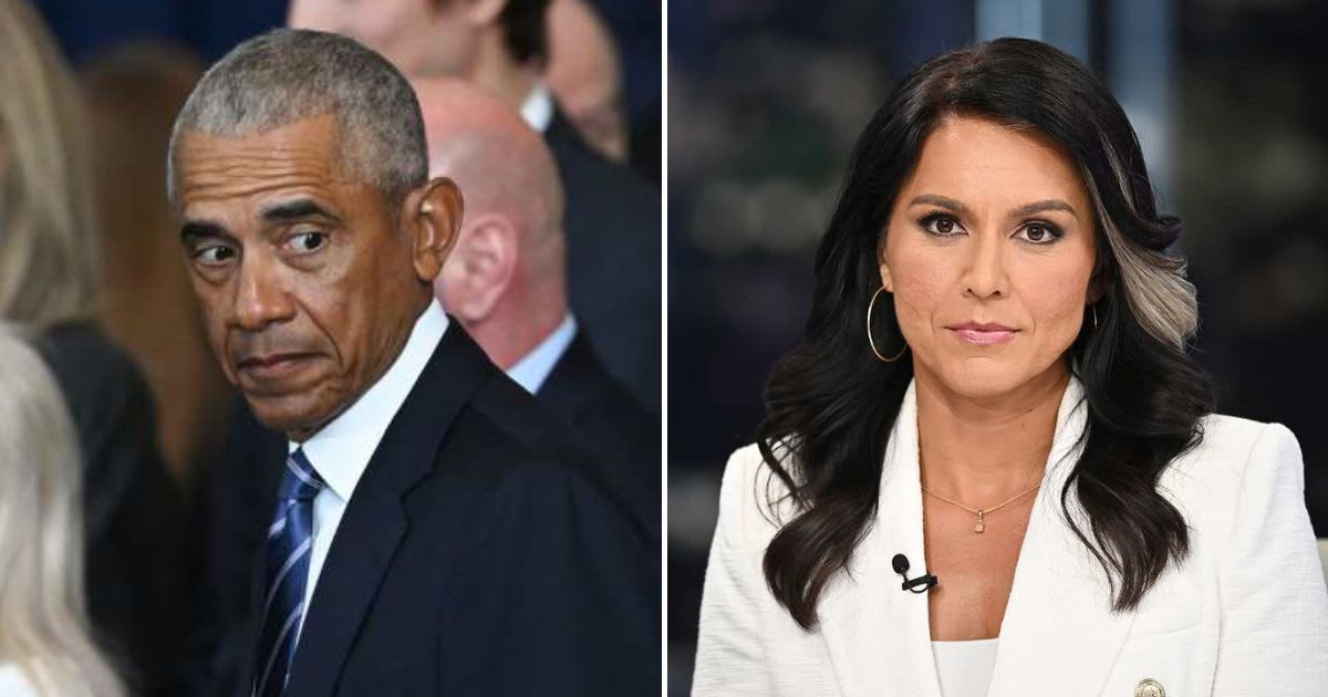 Tulsi Gabbard calls for Obama to be prosecuted for 'treasonous' 2016 election Russian interference claims