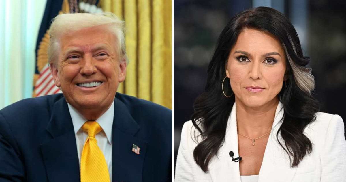 Trump calls Tulsi Gabbard ‘hottest in the room’ after release of report alleging 2016 election conspiracy