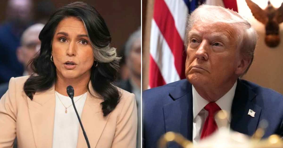 Tulsi Gabbard suggests Operation Mockingbird lives on, says intel still using media to attack Trump