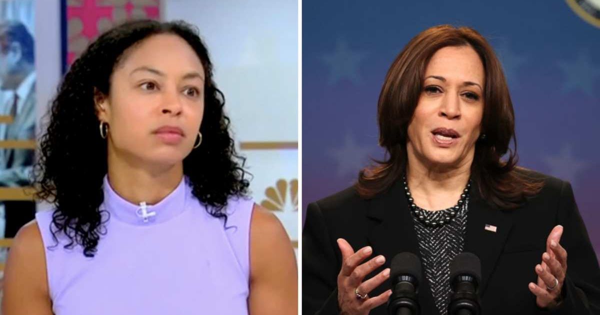 MSNBC panelist says Kamala Harris dropped California governor bid as Dem base wants 'new blood'