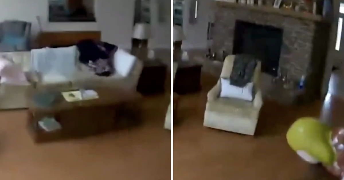 Video shows moment 3.0-magnitude earthquake rattles New Jersey, tremors felt in New York