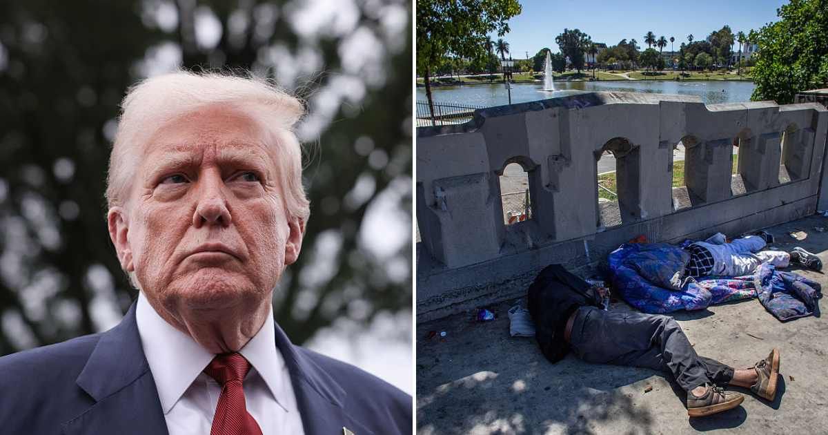 Trump vows to relocate DC homeless immediately and jail criminals: ‘Be prepared, no more Mr Nice Guy’