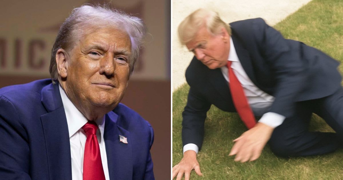 Fact Check: Is image showing Donald Trump falling on a grassy surface real?