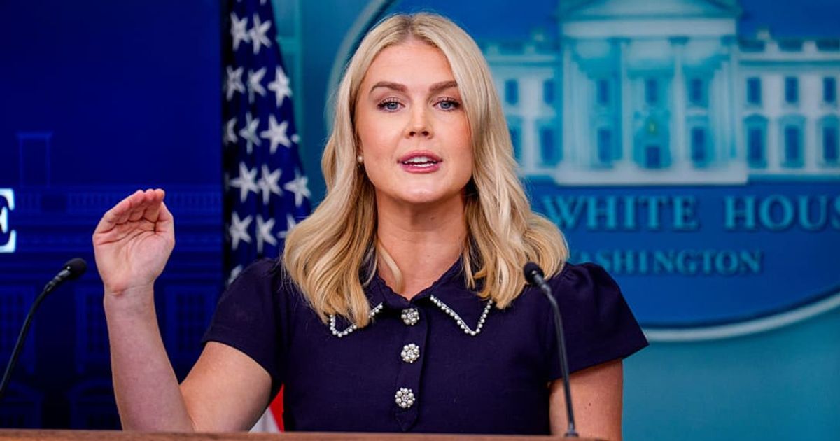 MSNBC host claims Karoline Leavitt looked ‘ashen and frightened’ after Trump’s Alaska summit with Putin