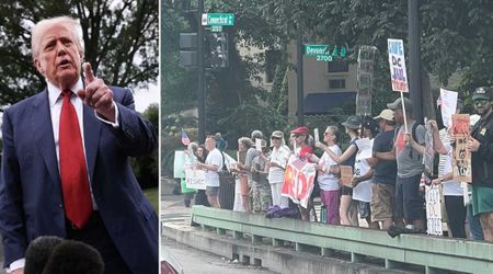 MAGA slams anti-Trump protests as chaos erupts outside White House: 'Pathetic, pointless, and paid-for'