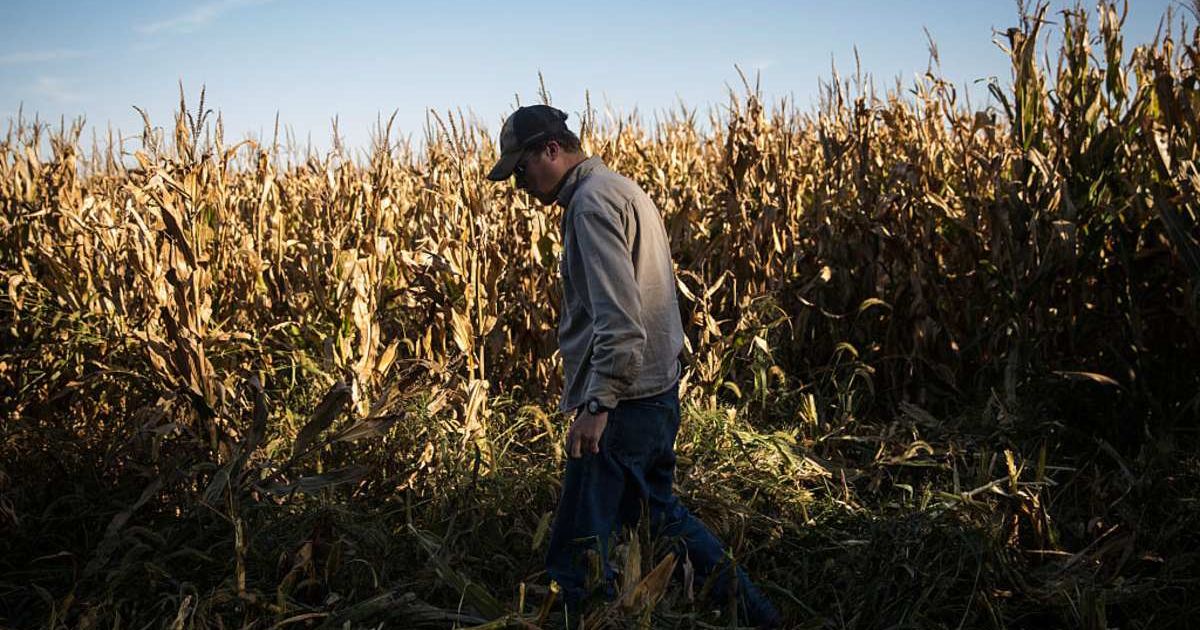Fact Check: Is Nebraska on the verge of bankruptcy from tariffs and labor shortages?