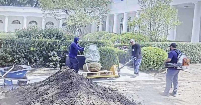 Trump blasts ‘stupid’ WH contractors after catching ‘nasty’ Rose Garden damage on video
