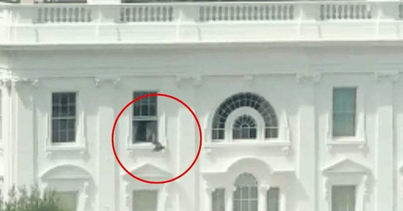 Trash bag tossed from White House window sparks wild conspiracy theories: ‘Epstein files or body parts?’