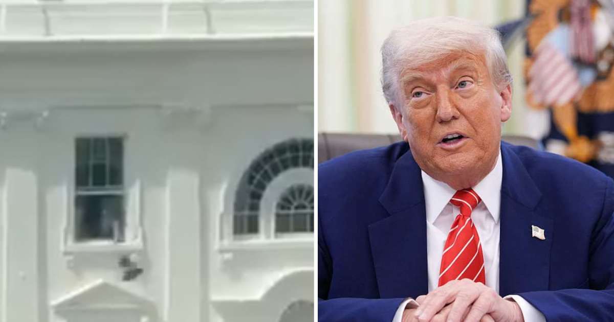 Trump blames AI for viral video of bag being tossed from White House, insists windows 'are sealed'