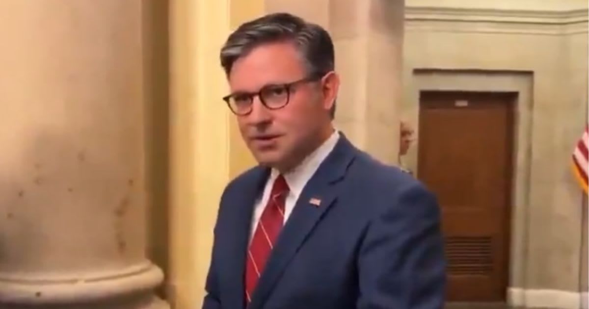 Mike Johnson says Trump was an 'FBI informant' in Epstein probe when asked about POTUS' 'hoax' claim