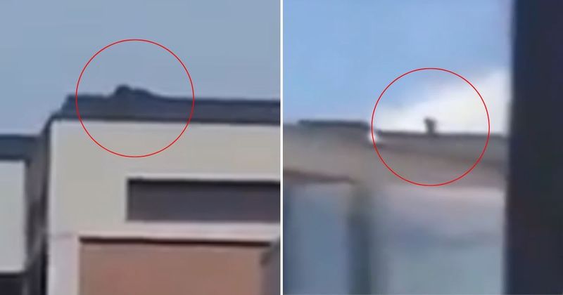 Was Charlie Kirk shot from rooftop? New video shows suspect on roof of building 200 yards away 