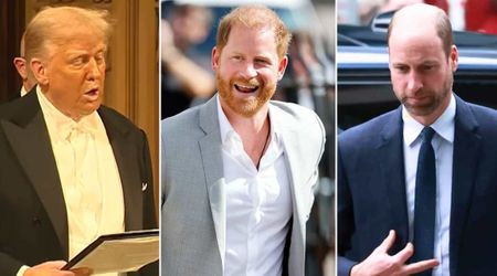 Trump takes subtle jab at Prince Harry as he praises William as King Charles' 'remarkable son'