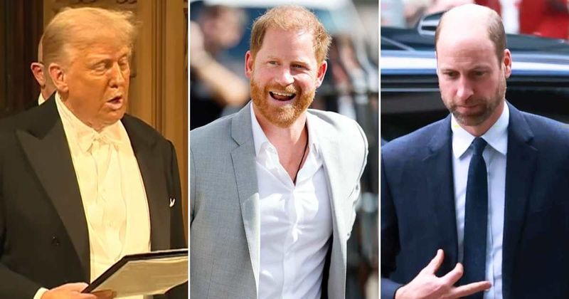 Trump takes subtle jab at Prince Harry as he praises William as King Charles' 'remarkable son'