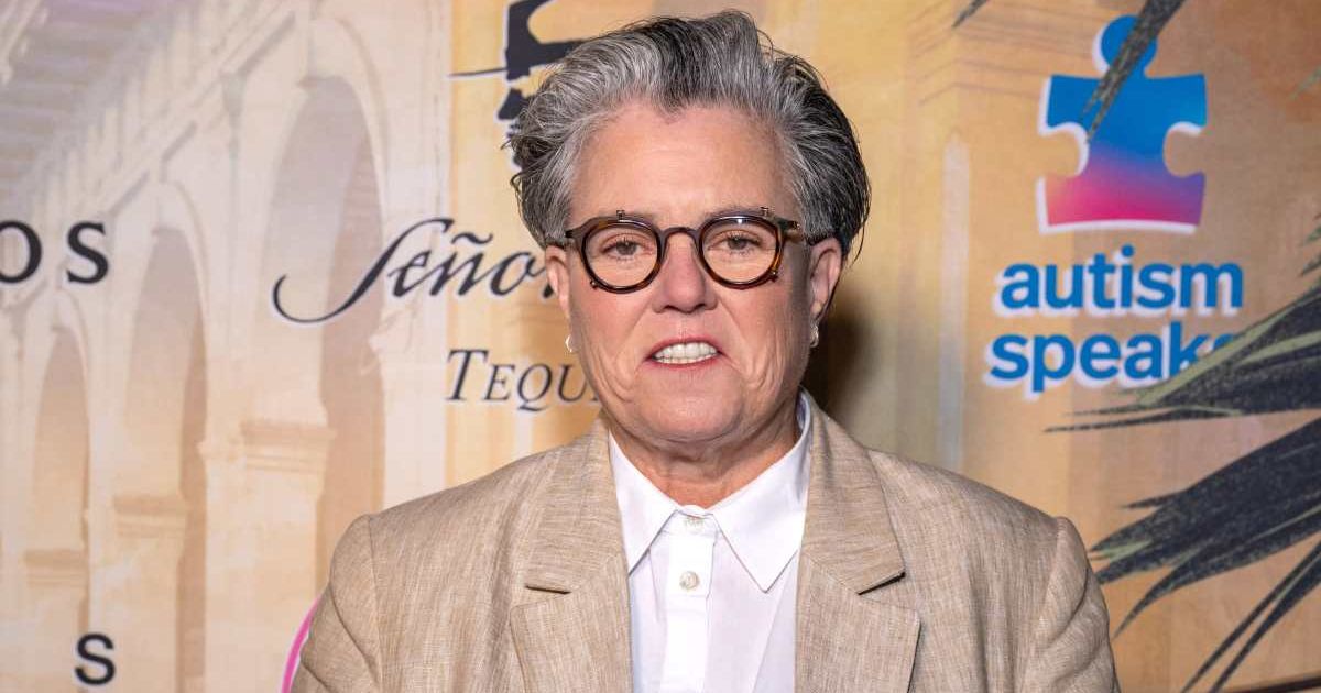 During a drinking session, Rosie O'Donnell allegedly claimed, 'Now Trump gets to decide who tells late-night jokes' (Amanda Edwards/Getty Images)
