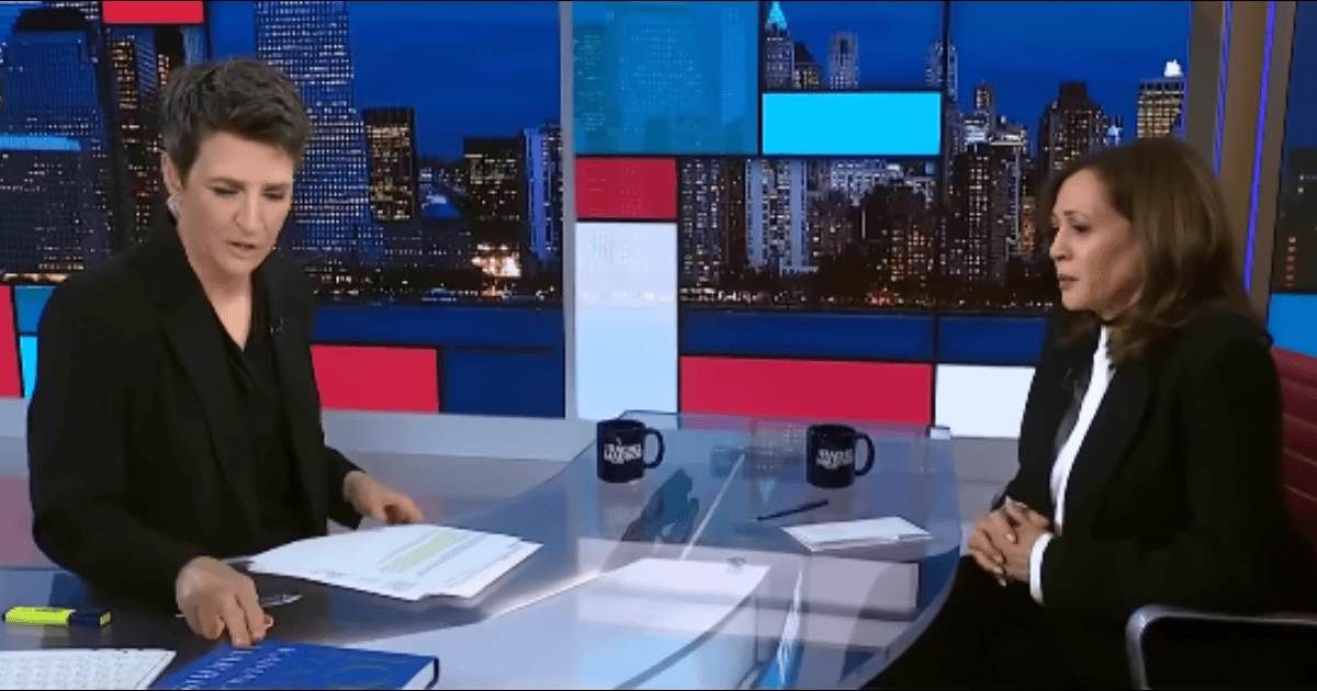 Kamala Harris admitted she may have been too cautious in not choosing Pete Buttigieg as her running mate because he is gay (@msnbc/YouTube/Screengrab)