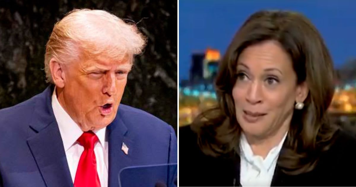 Donald Trump slammed Kamala Harris for calling 2024 race ‘closest’ election in 21st century (Getty Images, Screengrab/MSNBC)