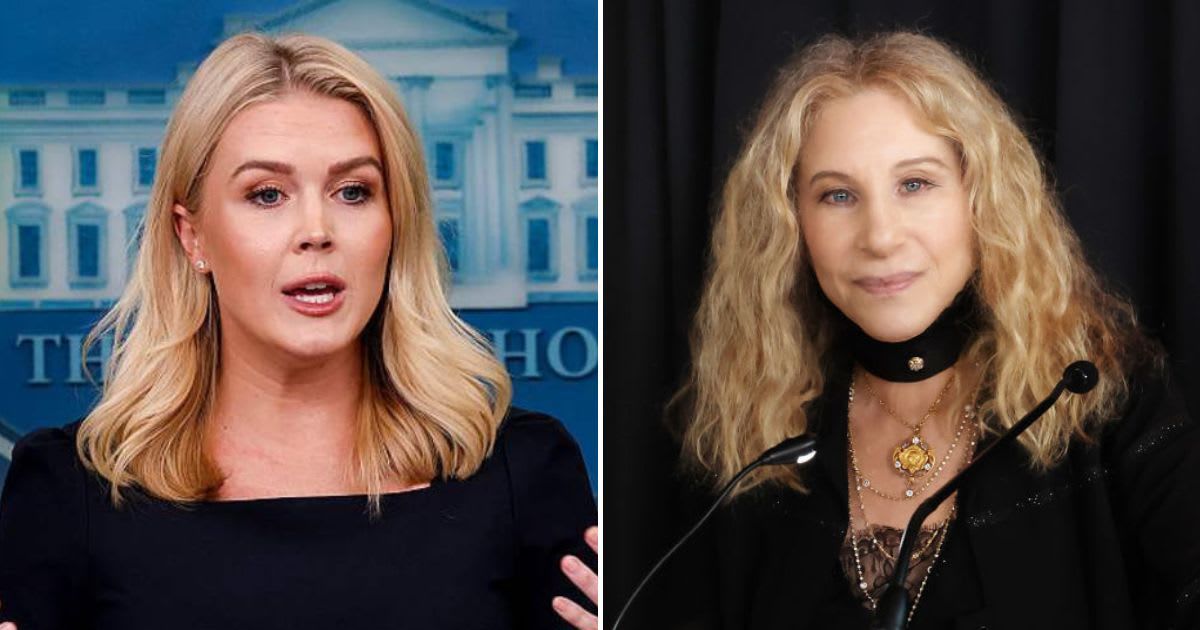 An online rumor claimed Karoline Leavitt was sued by Barbra Streisand for verbally assaulting her (Getty Images)